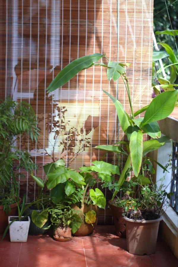 Lagom Home Hue Luaran gambar
